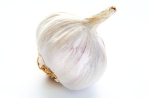 Garlic